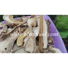 Dried Porcini Mushroom Competitive Price